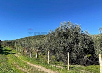 Vista delle montagne - Terreno agricolo CDA IRPIETRO, Corigliano-Rossano - foto 6