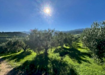 Vista delle montagne - Terreno agricolo CDA IRPIETRO, Corigliano-Rossano - foto 10