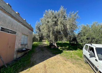 Giardino - Terreno agricolo CDA IRPIETRO, Corigliano-Rossano - foto 11