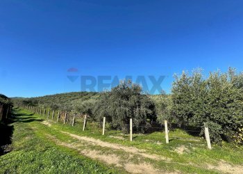 Vista delle montagne - Terreno agricolo CDA IRPIETRO, Corigliano-Rossano - foto 17
