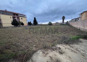 Giardino - Terreno agricolo Via Fiume Crati, Corigliano-Rossano - foto 5