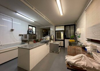 Cucina - Attività Commerciale cda torricella inferiore, Corigliano-Rossano - foto 27
