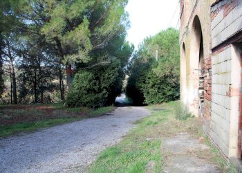 Giardino - Rustic Via D'Ormicello
 
35, Empoli - photo 13