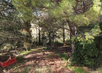 Giardino - Rustic Via D'Ormicello
 
35, Empoli - photo 15