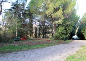 Giardino - Rustic Via D'Ormicello
 
35, Empoli - photo 29