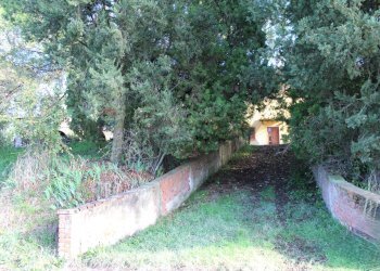 Giardino - Rustic Via D'Ormicello
 
35, Empoli - photo 32