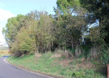 Giardino - Rustic Via D'Ormicello
 
35, Empoli - photo 33