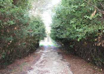 Giardino - Rustic Via D'Ormicello
 
35, Empoli - photo 77