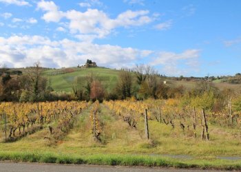 vigneto - Rustic Via D'Ormicello
 
35, Empoli - photo 79