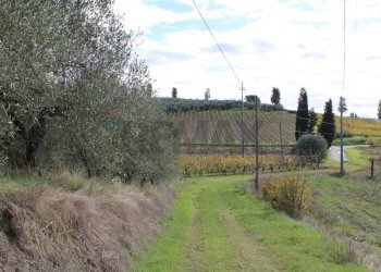 terreno - Rustic Via D'Ormicello
 
35, Empoli - photo 82
