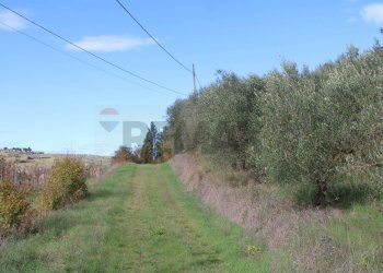 terreno - Rustic Via D'Ormicello
 
35, Empoli - photo 85