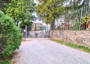 Non correlato - Rustic Via Di S.Amato
 
15, Vinci - photo 2