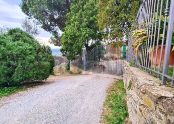 Giardino - Rustic Via Di S.Amato
 
15, Vinci - photo 4