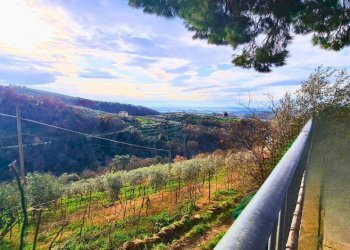 Vista panoramica - Rustic Via Di S.Amato
 
15, Vinci - photo 7