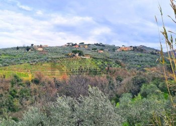 Vista delle montagne - Rustic Via Di S.Amato
 
15, Vinci - photo 24