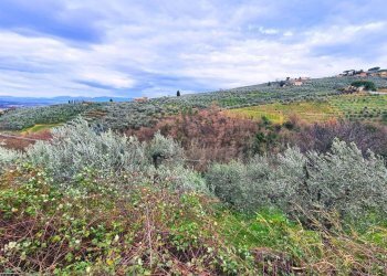 Vista delle montagne - Rustic Via Di S.Amato
 
15, Vinci - photo 25