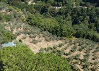 Panoramica - Rustic Via Di S.Amato
 
15, Vinci - photo 28