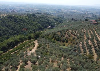 panoramica - Rustic Via Di S.Amato
 
15, Vinci - photo 31