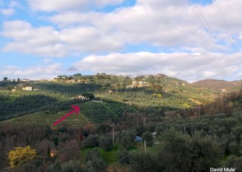 Vista panoramica - Rustic Via Di S.Amato
 
15, Vinci - photo 1