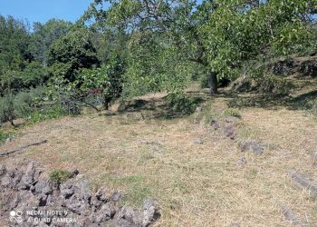 Giardino - Rustico contrada argentera, Piedimonte Etneo - foto 7