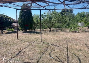 Giardino - Rustico contrada argentera, Piedimonte Etneo - foto 14