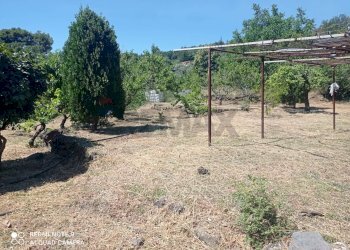 Giardino - Rustico contrada argentera, Piedimonte Etneo - foto 16