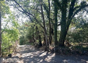 Giardino - Rustico contrada argentera, Piedimonte Etneo - foto 31