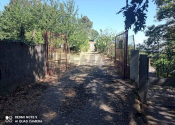 Giardino - Rustico contrada argentera, Piedimonte Etneo - foto 33