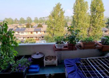 Foto 22 - Trilocale Rodano - foto 22