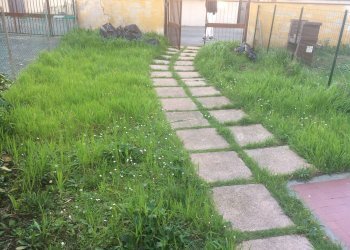 Foto 7 - Independent house Via Tommaso Rook
 
5, Pisa - photo 7