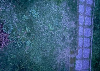 Foto 36 - Trilocale Via Selvagrossa
 
19, Fauglia - foto 35