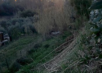 Foto 37 - Trilocale Via Selvagrossa
 
19, Fauglia - foto 36