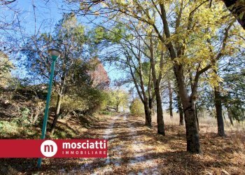 Foto 2 - Villa Vocabolo Colle Sant'Antonio, Matelica - foto 2