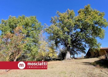 Foto 5 - Villa Vocabolo Colle Sant'Antonio, Matelica - foto 5