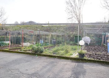 Giardino - Trilocale Via Acqua dei Buoi
 
9b, Nembro - foto 47