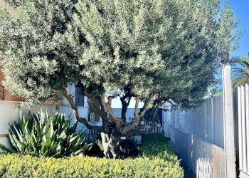 Foto 8 - Appartamento Via San Francesco a Patria
 
132, Giugliano in Campania - foto 8