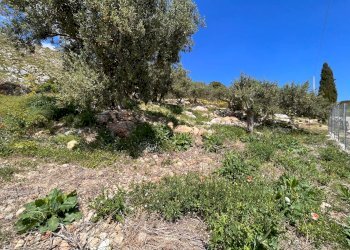 Foto 17 - Villa Visicari, Castellammare del Golfo - photo 17