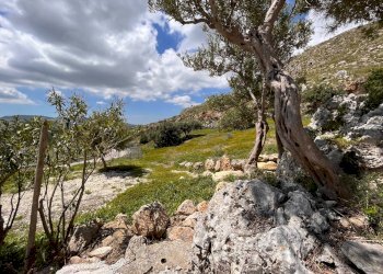 Foto 21 - Villa Visicari, Castellammare del Golfo - photo 21