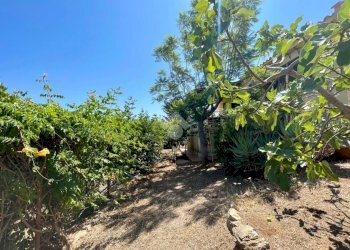 giardino - Villa Conza, Castellammare del Golfo - photo 38