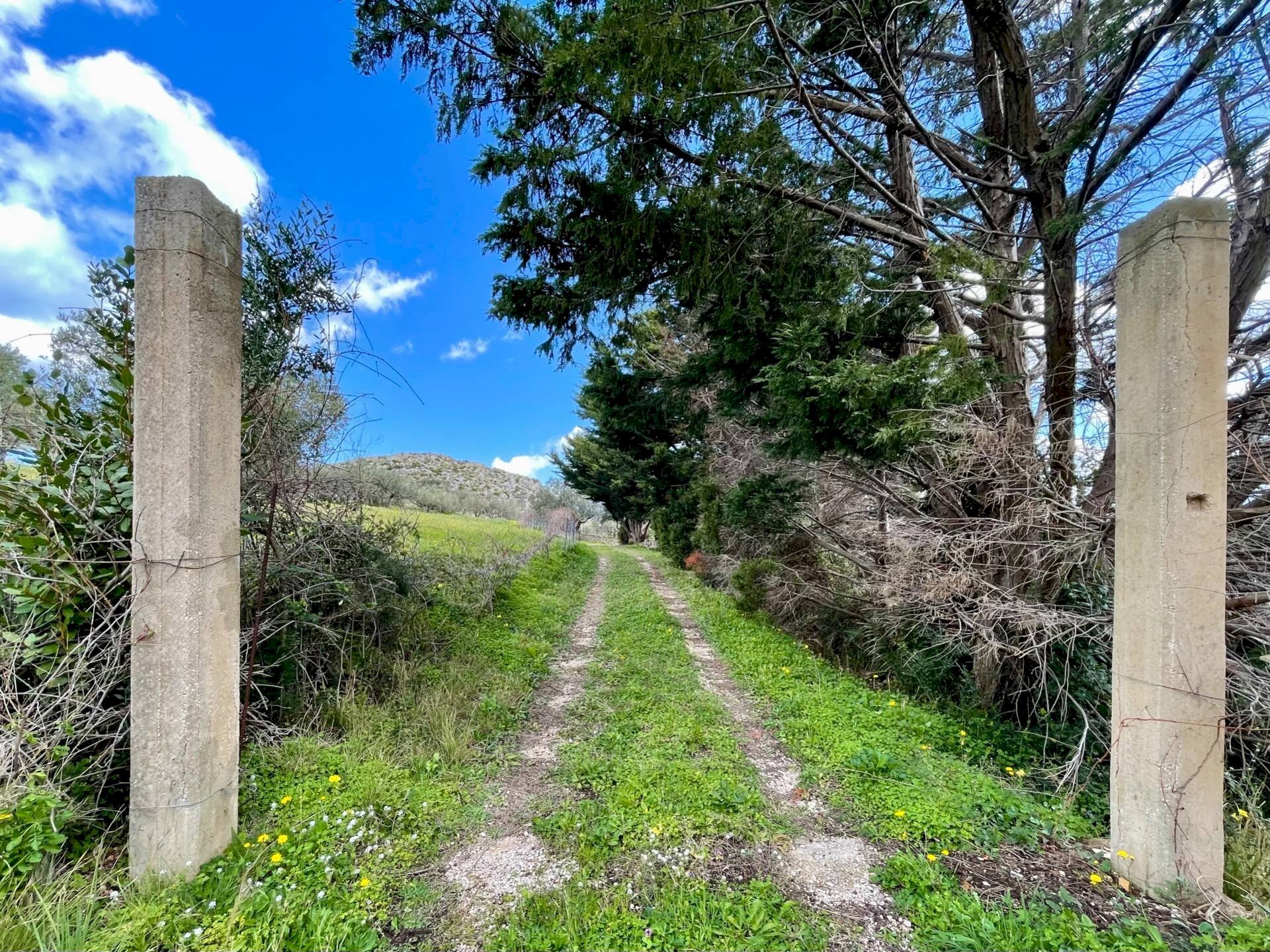 Foto 2 - Villa contrada Grotticelli, Castellammare del Golfo - photo 2