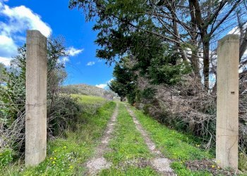 Foto 2 - Villa contrada Grotticelli, Castellammare del Golfo - photo 2