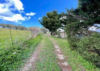 Foto 6 - Villa contrada Grotticelli, Castellammare del Golfo - photo 6