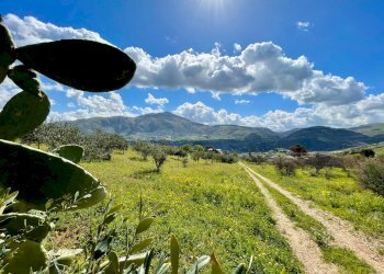 Foto 8 - Villa contrada Grotticelli, Castellammare del Golfo - photo 8