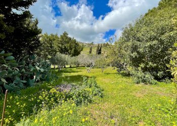 Foto 9 - Villa contrada Grotticelli, Castellammare del Golfo - photo 9