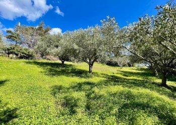 Foto 10 - Villa contrada Grotticelli, Castellammare del Golfo - photo 10