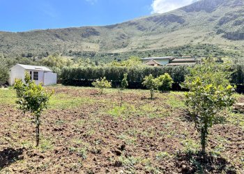 Foto 16 - Villa Contrada Fraginesi, Castellammare del Golfo - foto 16