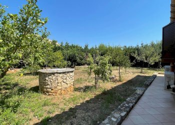 Foto 33 - Villa Contrada Fraginesi, Castellammare del Golfo - foto 33
