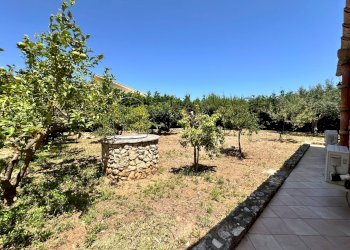 Foto 48 - Villa Contrada Fraginesi, Castellammare del Golfo - foto 48