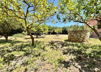 Foto 49 - Villa Contrada Fraginesi, Castellammare del Golfo - foto 49
