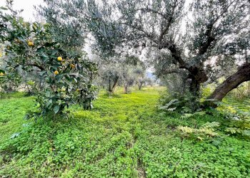 Foto 16 - Rustico C/da Fraginesi
 
snc, Castellammare del Golfo - foto 16